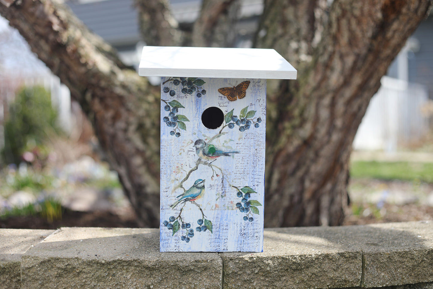 This adorable birdhouse is crackle painted with a blueberry and bird decoupage design and white roof. Constructed of weather and insect resistant cedar, wood glue and Polycrylic  sealer with easy bottom cleanout. Sure to make a great gift or addition to your back yard. 6 1/2"L x 5 1/4" W x 12 1/2" H.