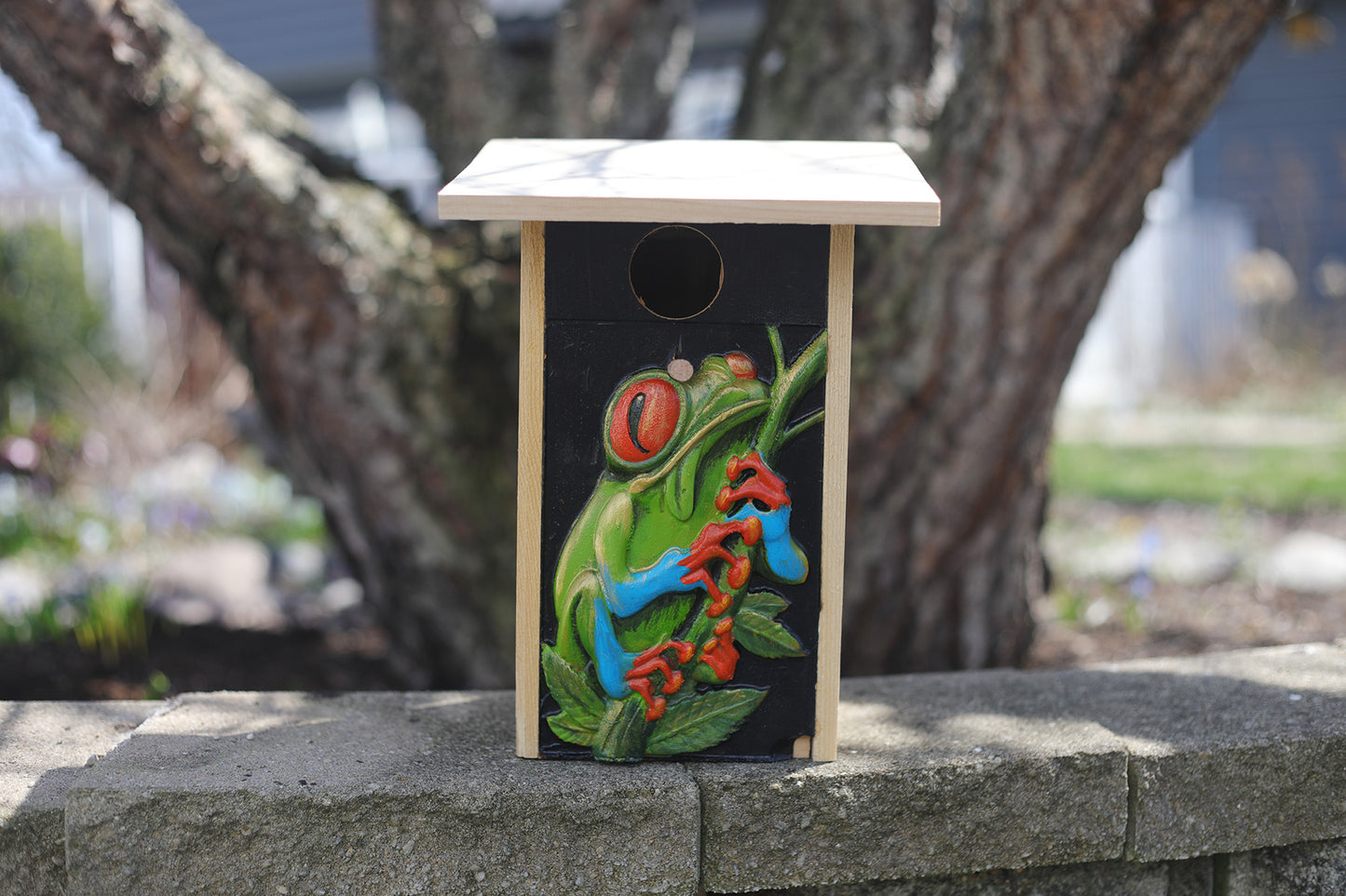 RED EYED TREE FROG BIRD HOUSE