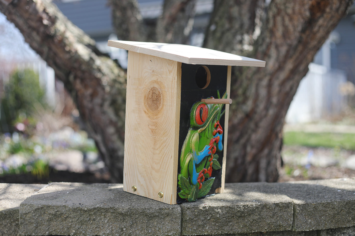 RED EYED TREE FROG BIRD HOUSE