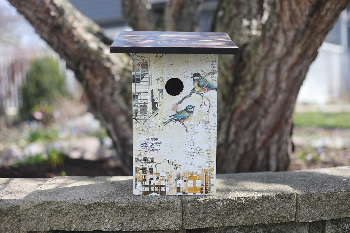 NATURE IN THE CITY BIRDHOUSE 2